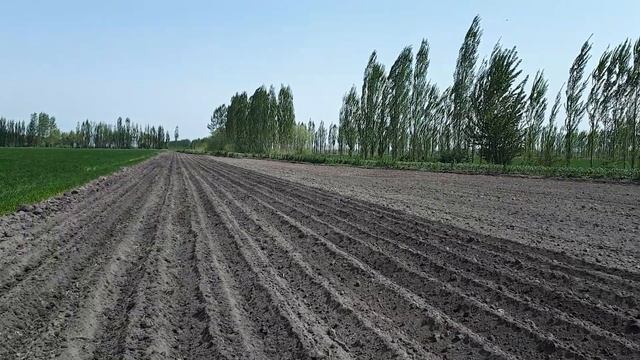 Техниика дехкон каноти 934252030 смотреть онлайн