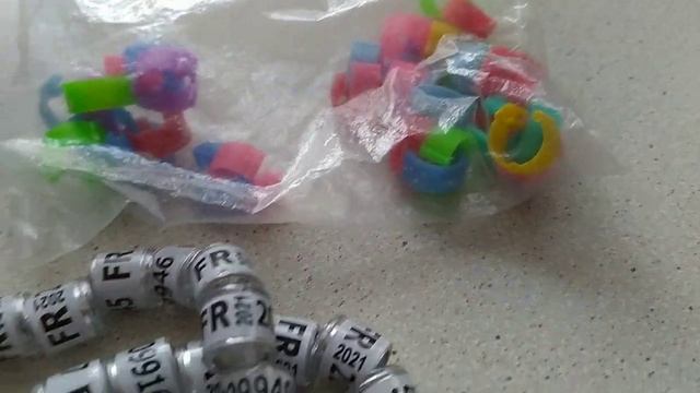 Кольца для голубей с AliExpress смотреть онлайн