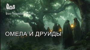 Омела и Друиды