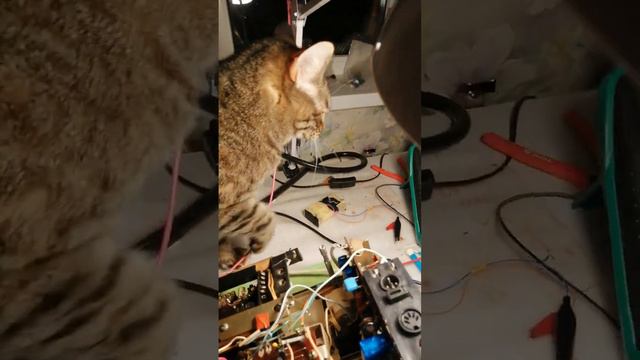 УНЧ Океан-209 небольшая замена емкости смотреть онлайн