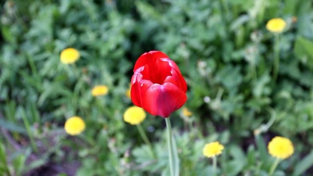 Бурение артезианских скважин в Рязани и соседних областях смотреть онлайн