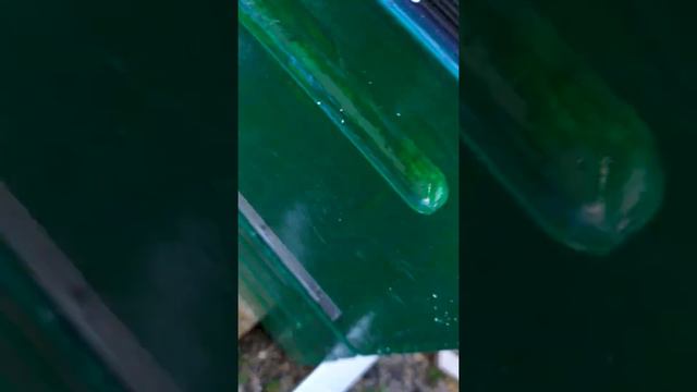 Лежак воспиталка. смотреть онлайн