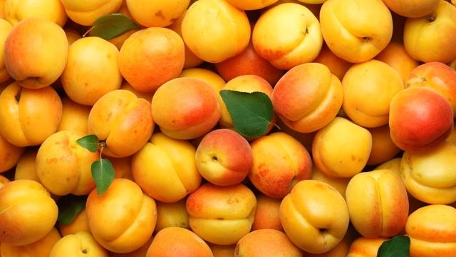 Картинка фрукты. Абрикосы | bubuahan gambar. apricots | Меваи расм. Зардолу смотреть онлайн