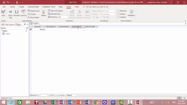 Microsoft Access Simple Book Library Database смотреть онлайн