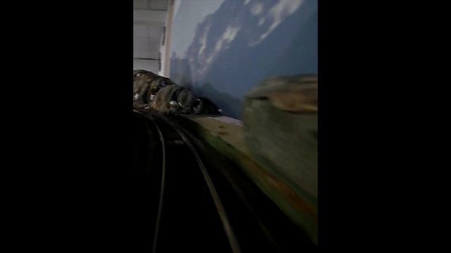 PG Trains - Engineer's view смотреть онлайн