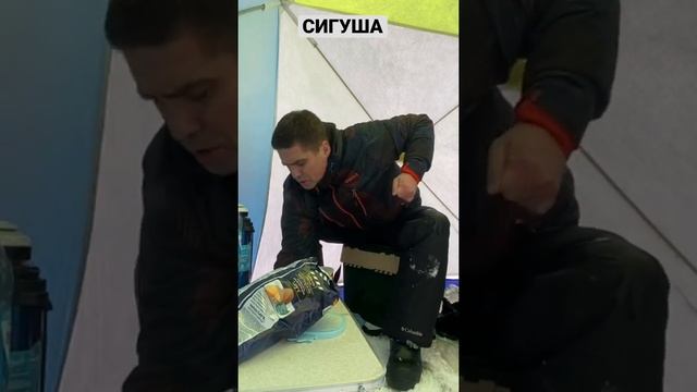 Поймал трофейного сига. Ямальский сиг - пыжьян.