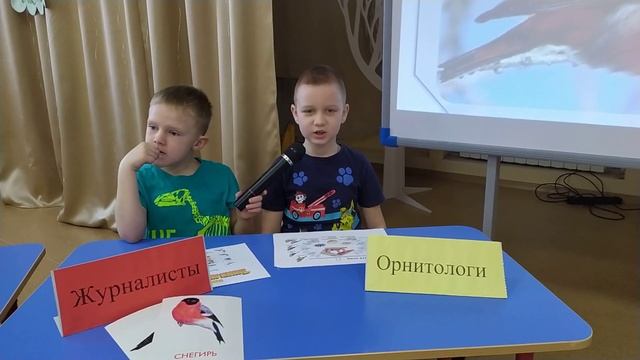 Конференция ,,Зимующие птицы,, Клёст смотреть онлайн