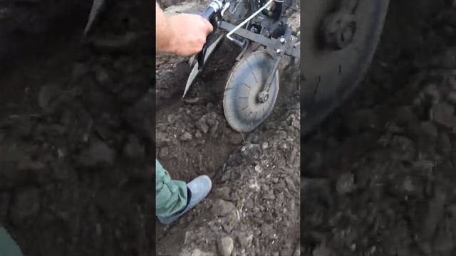 #мотоблок#окучник#своимируками#картофель#лето#дача#поле#классная#озвучка смотреть онлайн