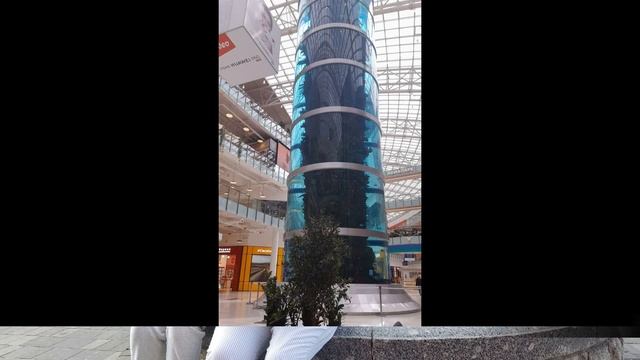 К сыну на выпускной смотреть онлайн