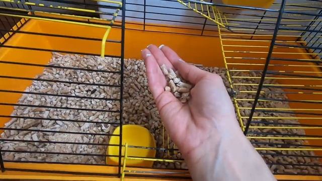 Крысы. История наших крыс. Уход за крысами. Крысята смотреть онлайн