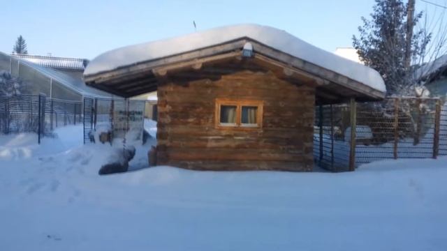 Ботсад. Центральный Сибирский Ботанический Сад...