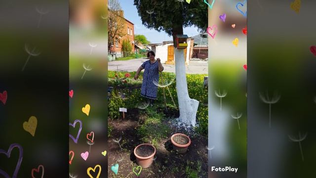 Детский сад №61 г. Владикавказ смотреть онлайн