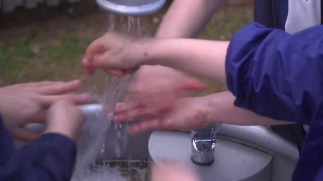 Little Sprouts Kitchen Garden Learning Program смотреть онлайн