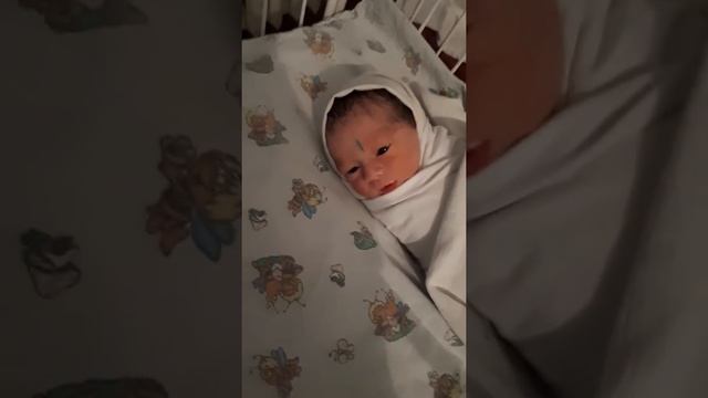 Двойняшкам мальчикам первые сутки смотреть онлайн