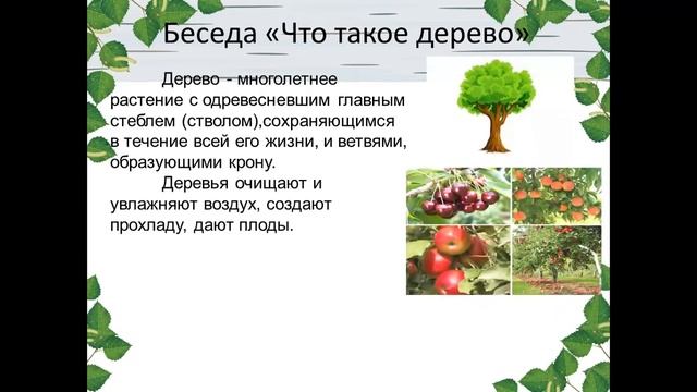 Естествознание Зачем сажают деревья. zoom 0 смотреть онлайн