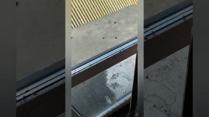 кладбище мух в новом доме. где зимуют мухи. новый дом в деревне.