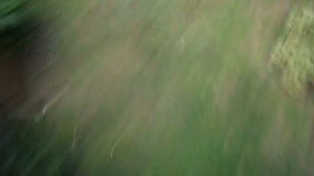 Американские горки «Черная Мамба» Roller coaster "Black Mamba" смотреть онлайн