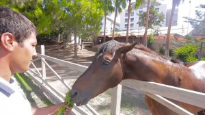 Отель Lonicera World 4* - Турция, Аланья