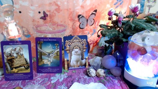 PISCES ♓WEEKLY 16 - 22 SEPT TAROT AND ORACLE move into a more inward ride. смотреть онлайн
