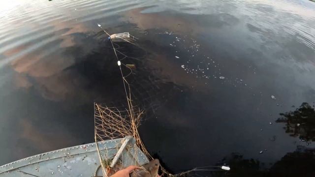 Рыбалка сетями! Реальный улов золотого карася! смотреть онлайн