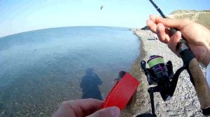 РЫБАЛКА на Черном море в АНАПЕ. Рыбалка с БЕРЕГА. КЛЮЕТ НА КАЖДОМ ЗАБРОСЕ! Село СУККО. Пляж.