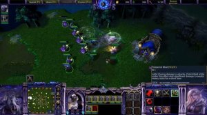 Ночнорождённые. Фанатские расы Warcraft 3