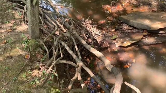 ♥️SUNDAY DATE + CAR MUKBANG? | EP083 смотреть онлайн