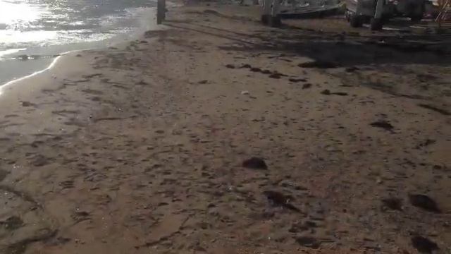 Крым Пляж Море Погода в Крыму 06.09.2017 (Трансляция) смотреть онлайн