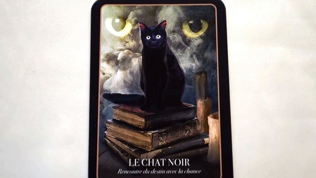JOUR 14 DE L'ORACLE D'HALLOWEEN смотреть онлайн
