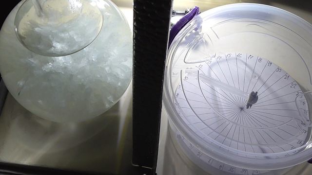 Крутильные весы, кристаллизация и свет [] Torsion scales, crystallization and light смотреть онлайн