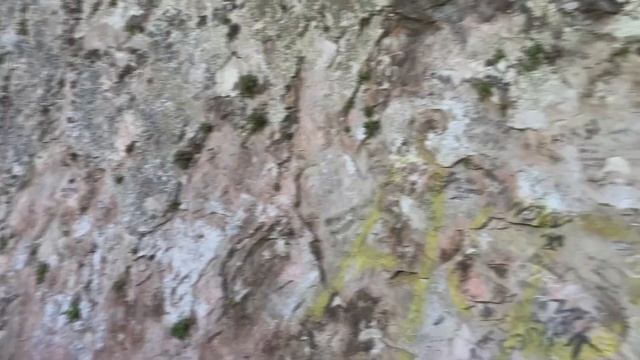 20210515 Абхазия Черниговка Кындыгский источник 2 смотреть онлайн