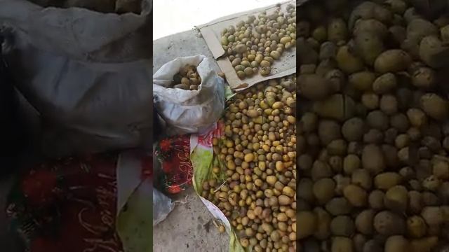 Чем я занимаюсь в Краснодарском крае? #переезднаюг смотреть онлайн