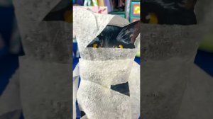 👻🐈 Костюмы на Хэллоуин для Тёмки по схемам #moducknet #модакнет