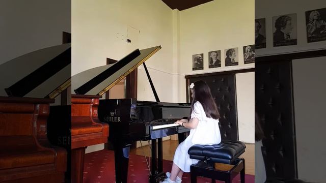 Ana Kuzmanoska - Ovcepolska svita/Blagoj Canev смотреть онлайн