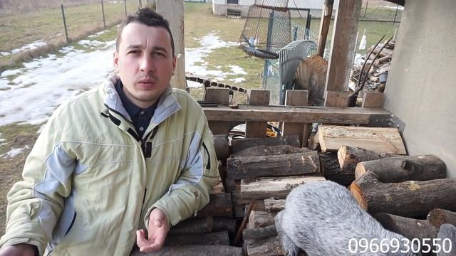 Кролики. З чого почати? Яку породу кролів краще розводити? Краща порода кролів для початківців. смотреть онлайн