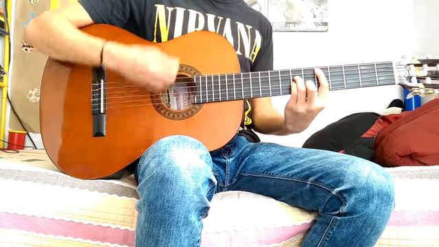 Pennyroyal Tea - Nirvana (Guitar Cover) смотреть онлайн