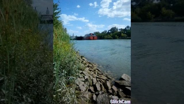 Волгодонск природа красный яр