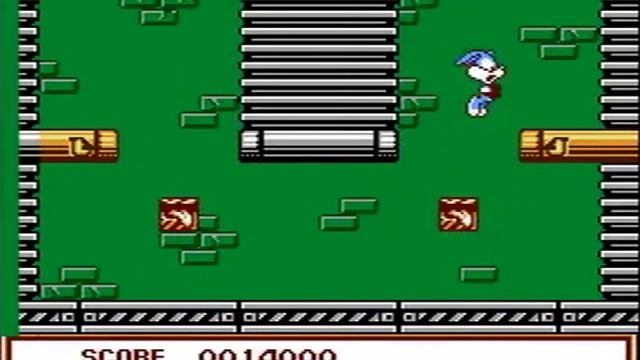 Tiny Toon Adventures 6 (NES Pirate) Longplay смотреть онлайн