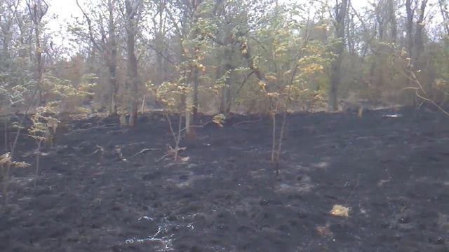 Згарище на луках р. Мокра Сура смотреть онлайн