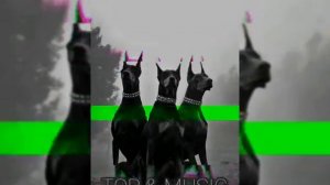 BODIEV - Я на связи