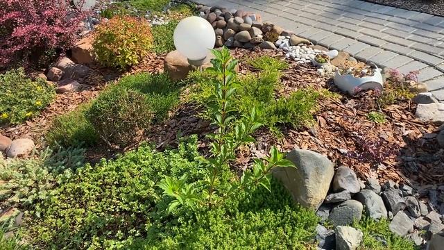 Обзор сада на 5 августа 2022 года смотреть онлайн