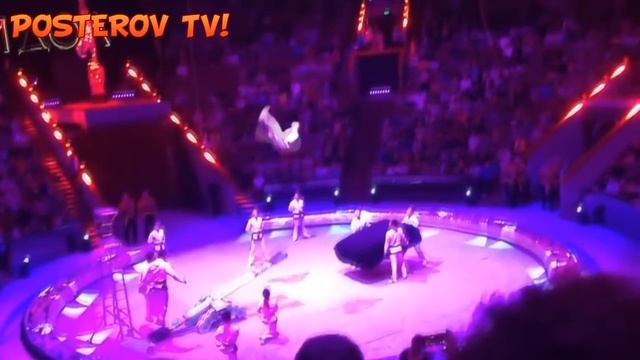 ГИМНАСТ ИЗ КНДР УМЕР ПОСЛЕ ШЕСТИ САЛЬТО-МОРТАЛЕ В МОСКОВСКОМ ЦИРКЕ смотреть онлайн