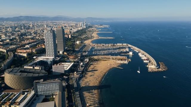 LA MASIA ZNOWU PRODUKUJE PERŁY. ŚWIAT WEDŁUG ŚWIĘTEGO #16 смотреть онлайн