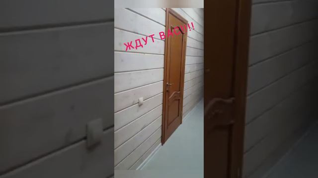 Дом- гостиница в хвойном лесу у реки Мста, д.Прилуки ( Новгородская область ) смотреть онлайн