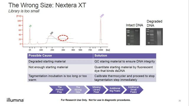 Illumina | Using the Bioanalyzer and Fragment Analyzer for Library QC смотреть онлайн