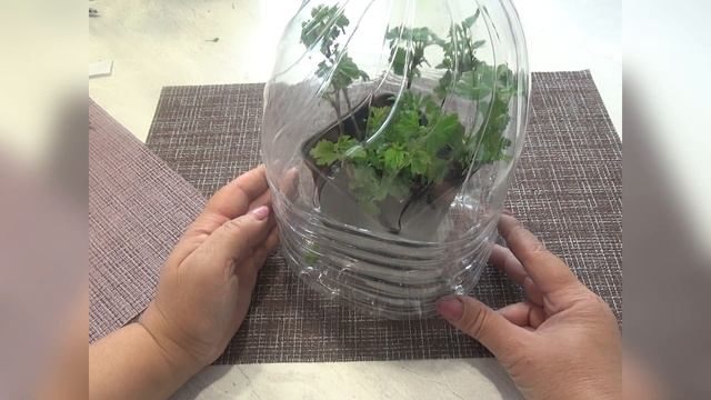 Мастерство и Успех