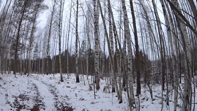 Осень и зима в землянке . Часть 2 - Ноябрь. смотреть онлайн