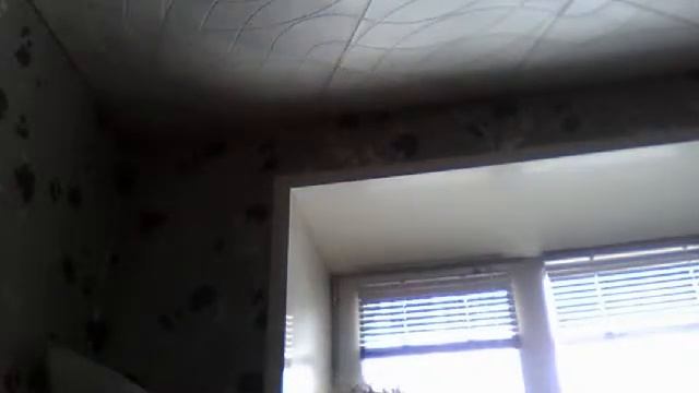 Видео с веб-камеры. Дата: 4 февраля 2014 г., 13:54.