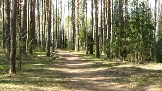 2013 - Кросс-кантри в Радужном