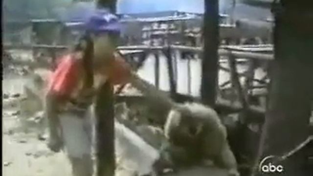 Típico en todas las familias смотреть онлайн